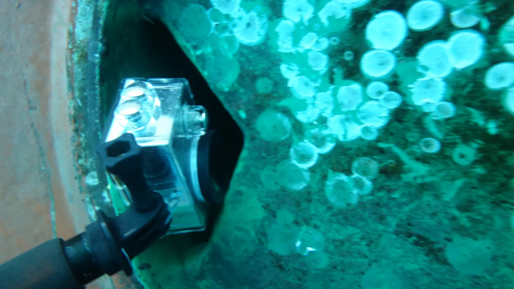 Close visual inspection of Scrubber overboards-divingstatus
