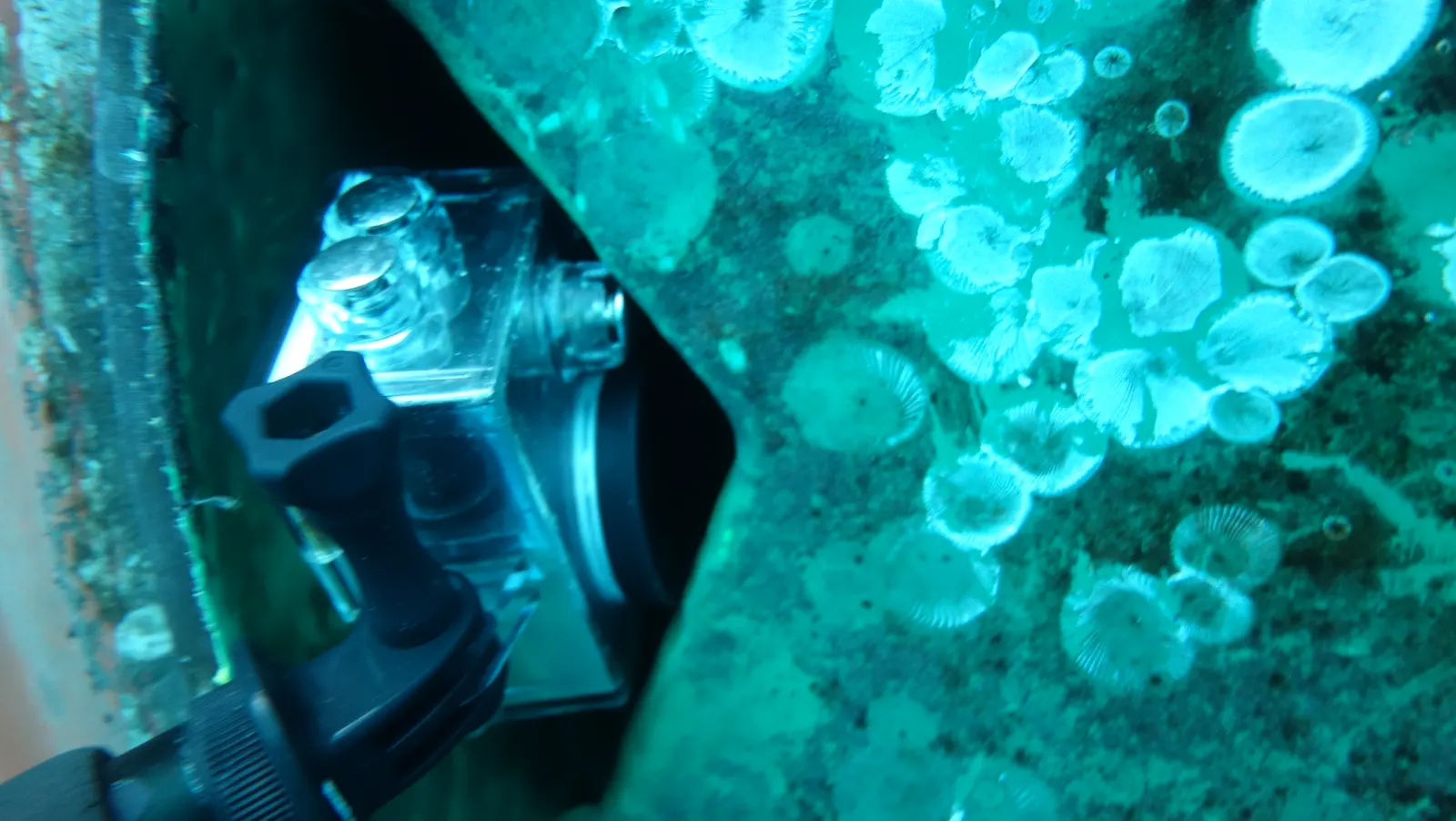 Close visual inspection of Scrubber overboards-divingstatus