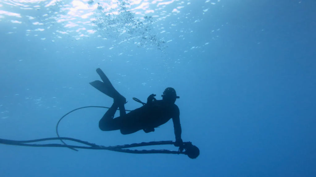 propeller-polishing-divingstatus
