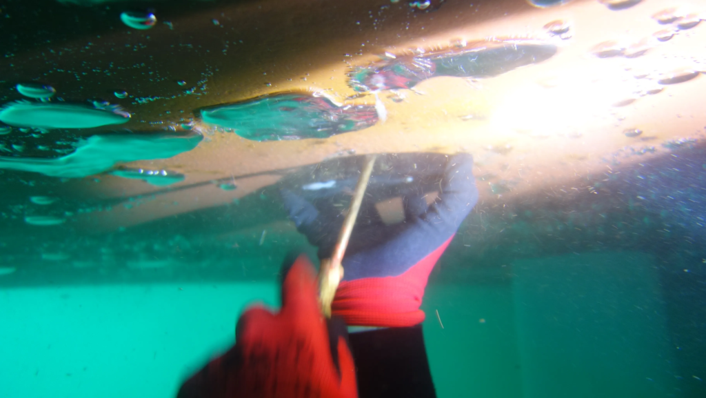 speedlog-replacement-divingstatus