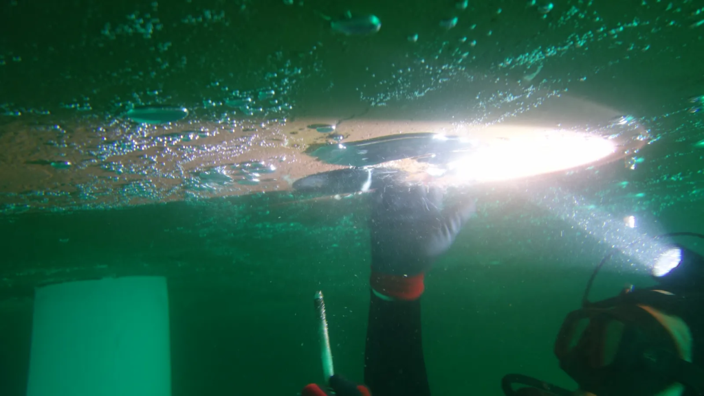 speedlog-replacement-divingstatus