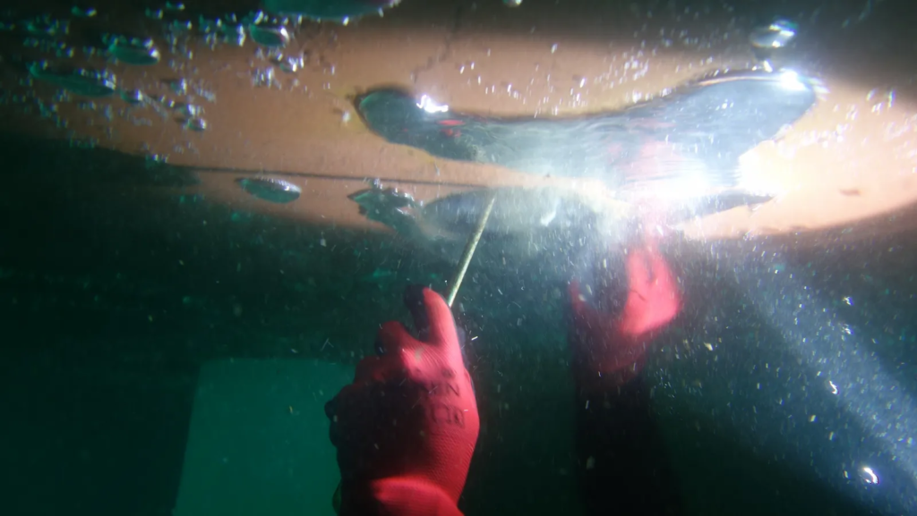 speedlog-replacement-divingstatus