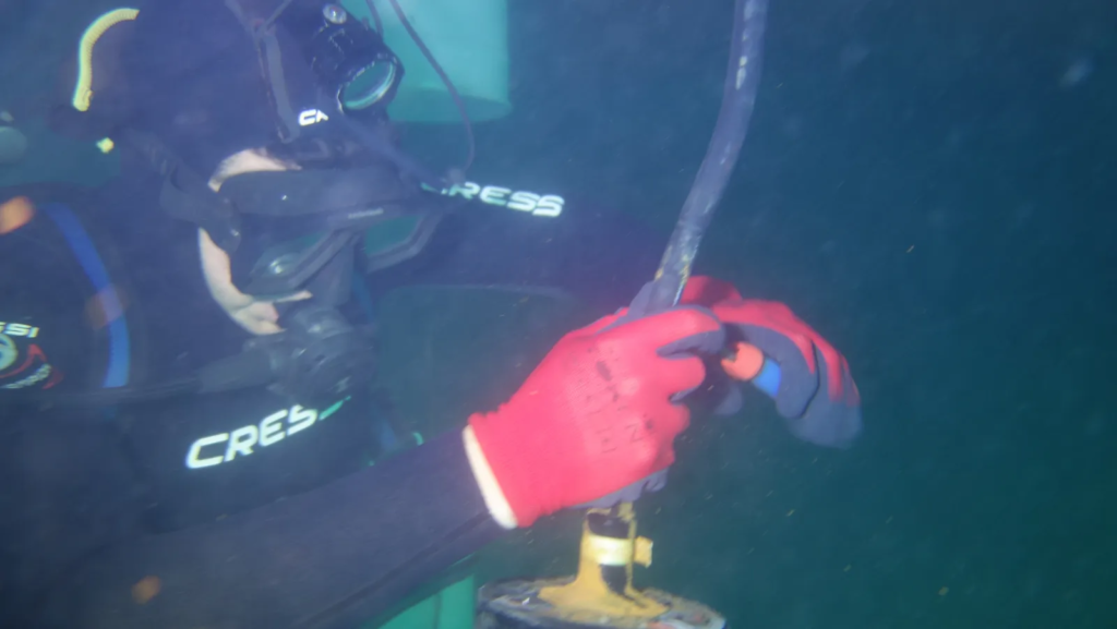 speedlog-replacement-divingstatus