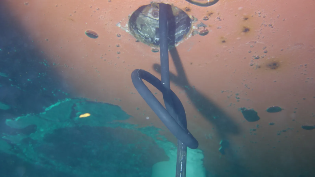 speedlog-replacement-divingstatus