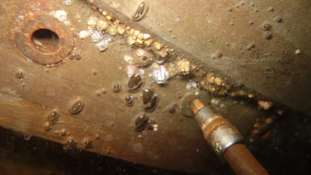 tailshaft-measurement-with-poker-gauge-divingstatus